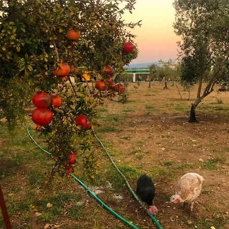 Ξενοδοχείο Apera Garden
